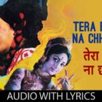 Tera Peecha Na Main Chhodunga mp3 song