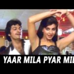 Yaar Mila Pyar Mila mp3 song